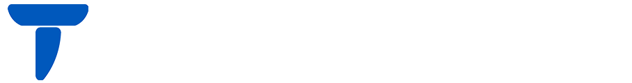 TEDSY Solutions Logo